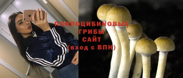 амф Елабуга