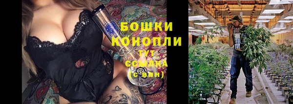 скорость Елизово