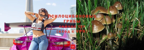 амф Елабуга