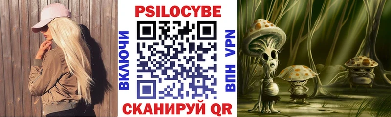 Псилоцибиновые грибы Psilocybine cubensis  blacksprut зеркало  Чайковский 