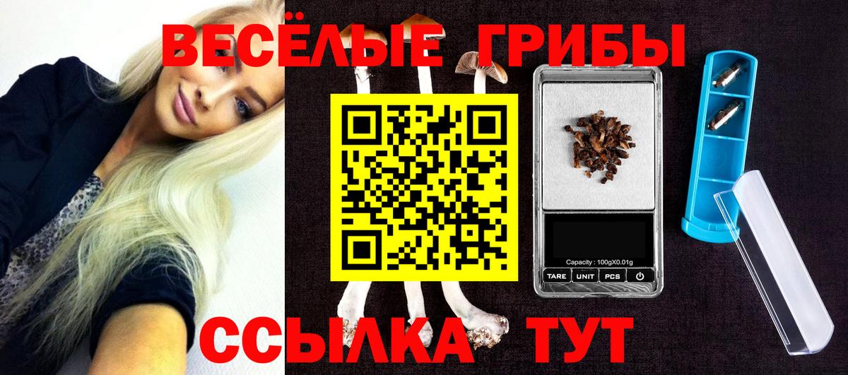 Псилоцибиновые грибы Cubensis Чайковский