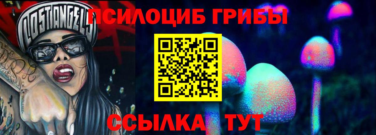 Чайковский  Псилоцибиновые грибы Cubensis  Вход с VPN 